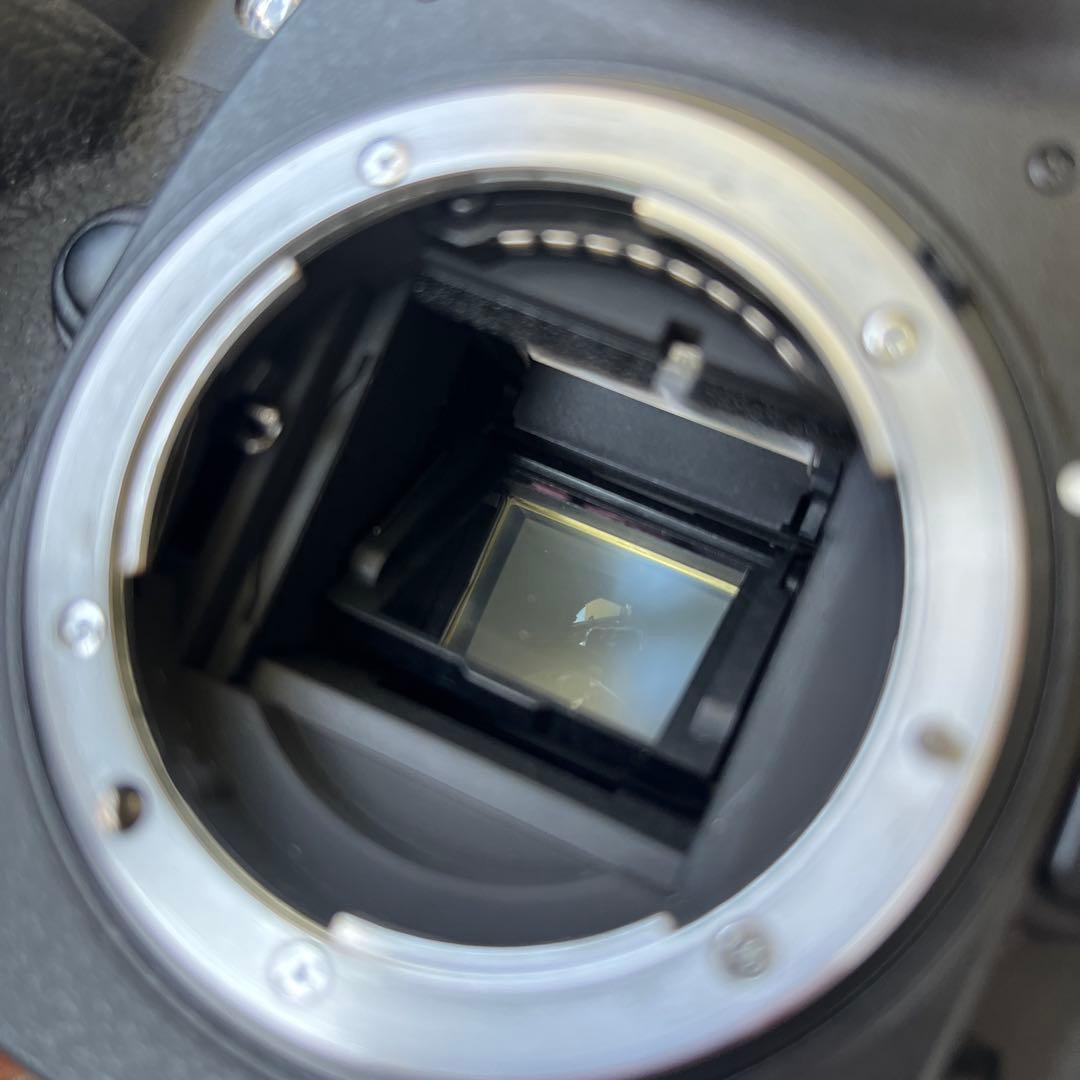 ［CCD名機］Nikon D200 付属品多数