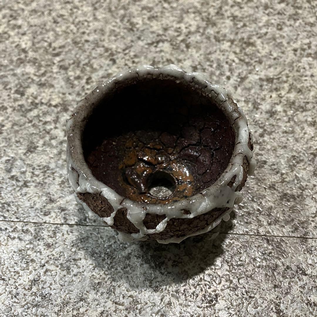 健阪本 鉢 植木鉢 1