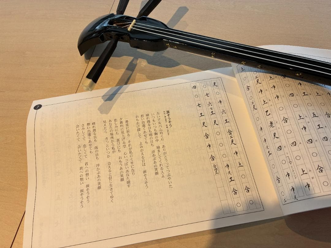 【BEGINゆかりの名店で購入】沖縄三線本格セット ハードケース・教則本・バチ付