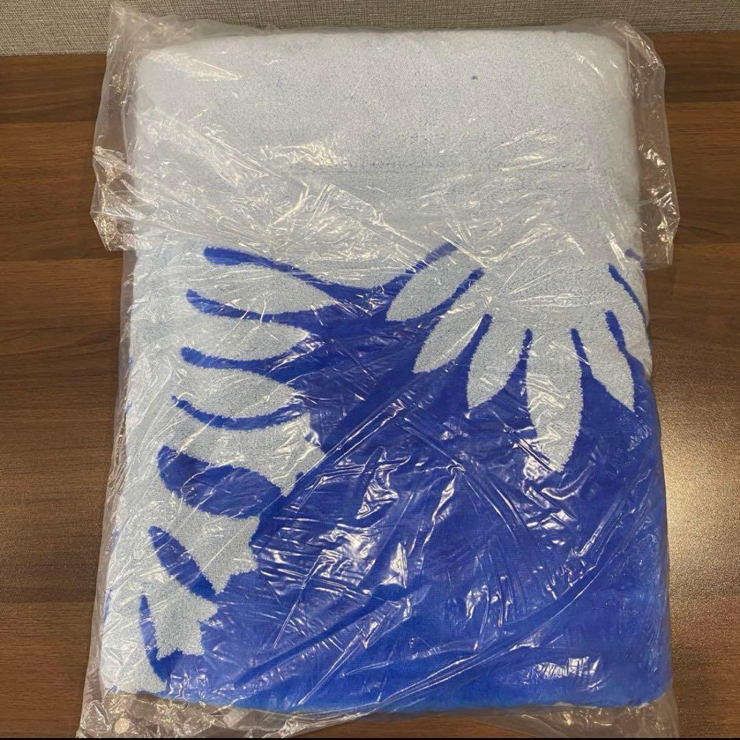 【新品未使用】キャシーマム　タオルケット(アヒナヒナブルー)