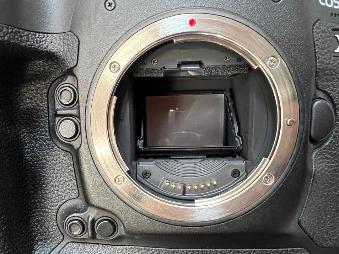 Canon EOS 1DX バッテリー2個付き