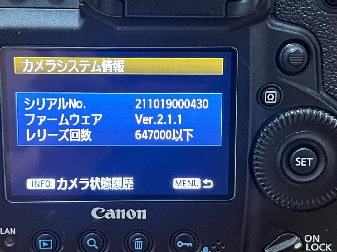 Canon EOS 1DX バッテリー2個付き
