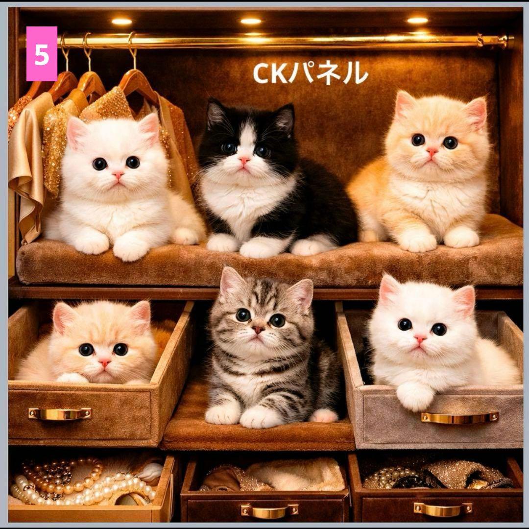 フラットポーチ♥6重ガーゼハンカチ♥オーダー受け付けページ（猫）