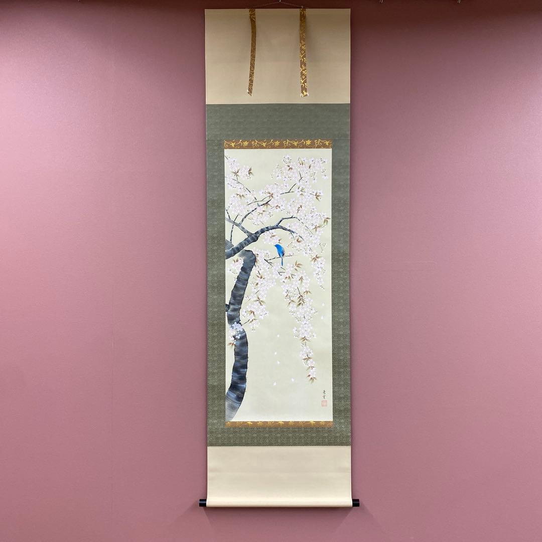 美品 掛け軸 山本晃雲作 枝垂れ桜図 共箱 花鳥 縁起物