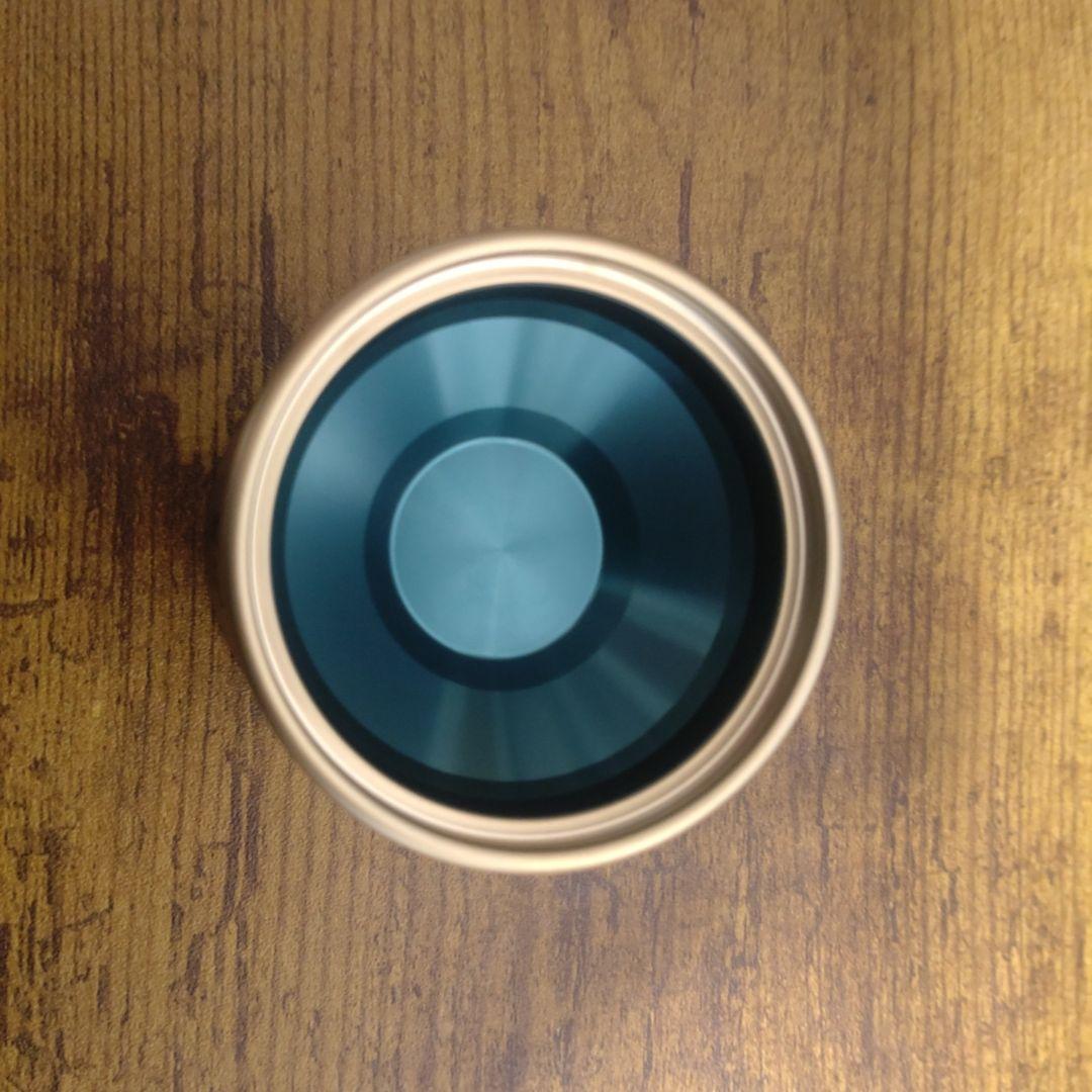 ワイルド　シャイ　マットダークティール／マットゴールドリム　五十嵐亮モデル