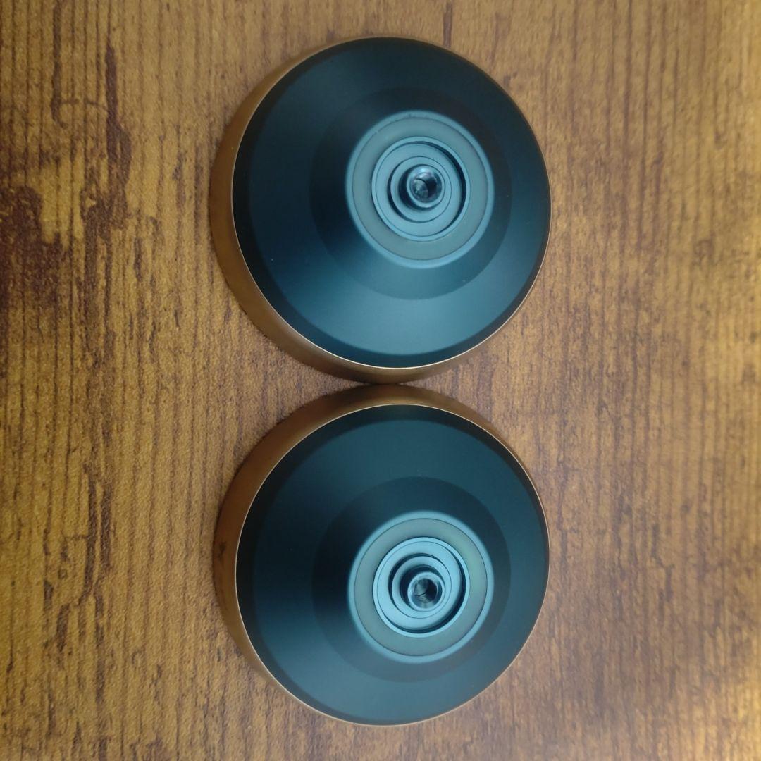 ワイルド　シャイ　マットダークティール／マットゴールドリム　五十嵐亮モデル