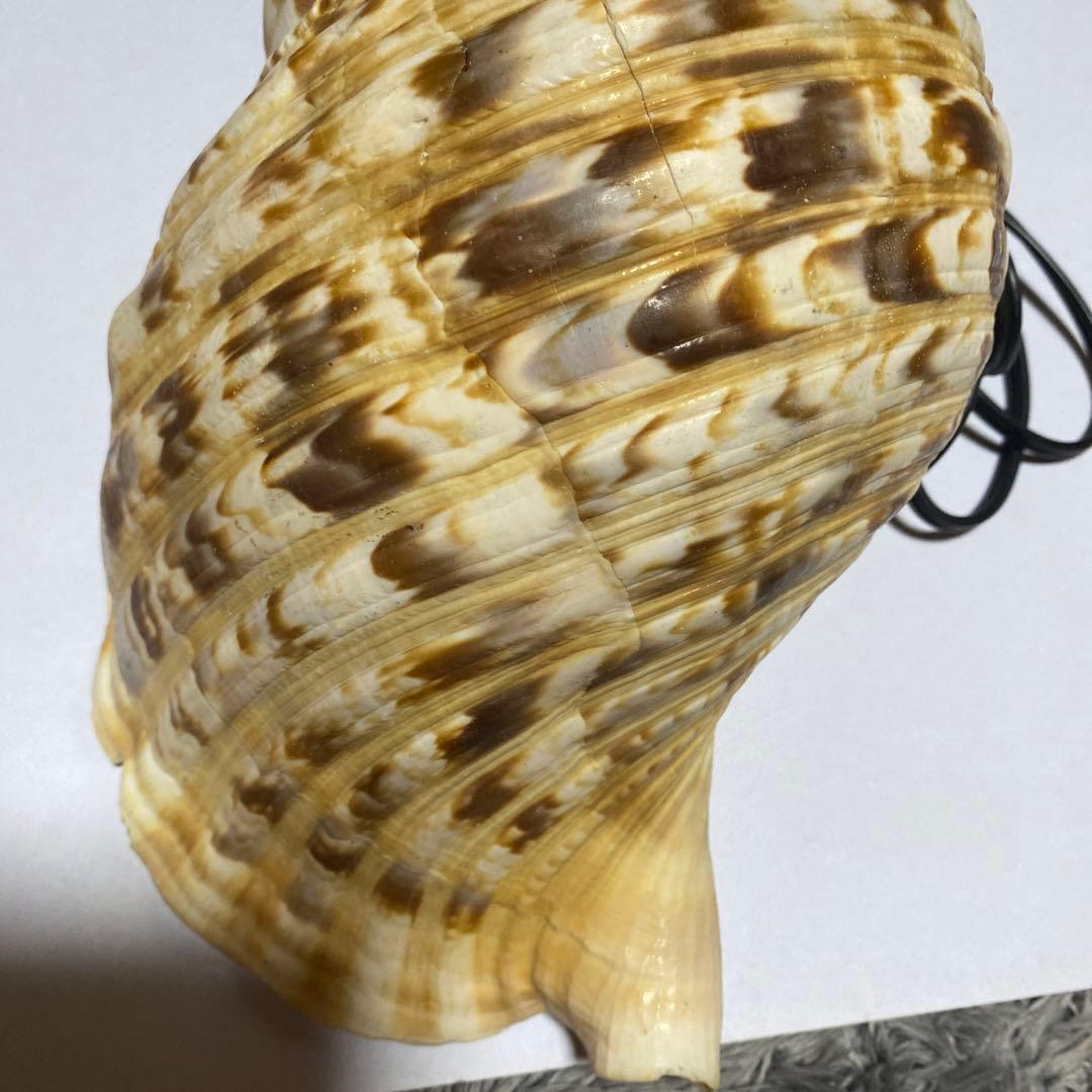 法螺貝　ホラ貝　ライト　スイッチ付き　未使用