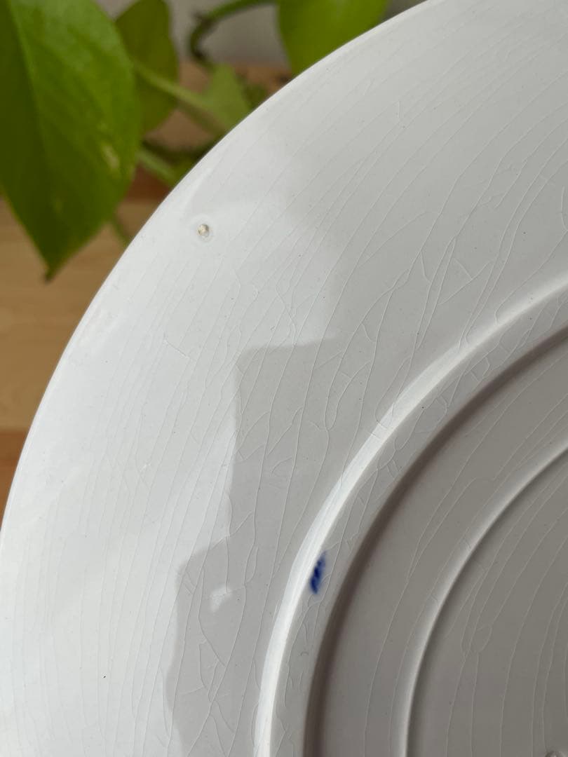 美品　サルグミンヌ　POITOU バスク　フランス　アンティーク　平皿　２枚