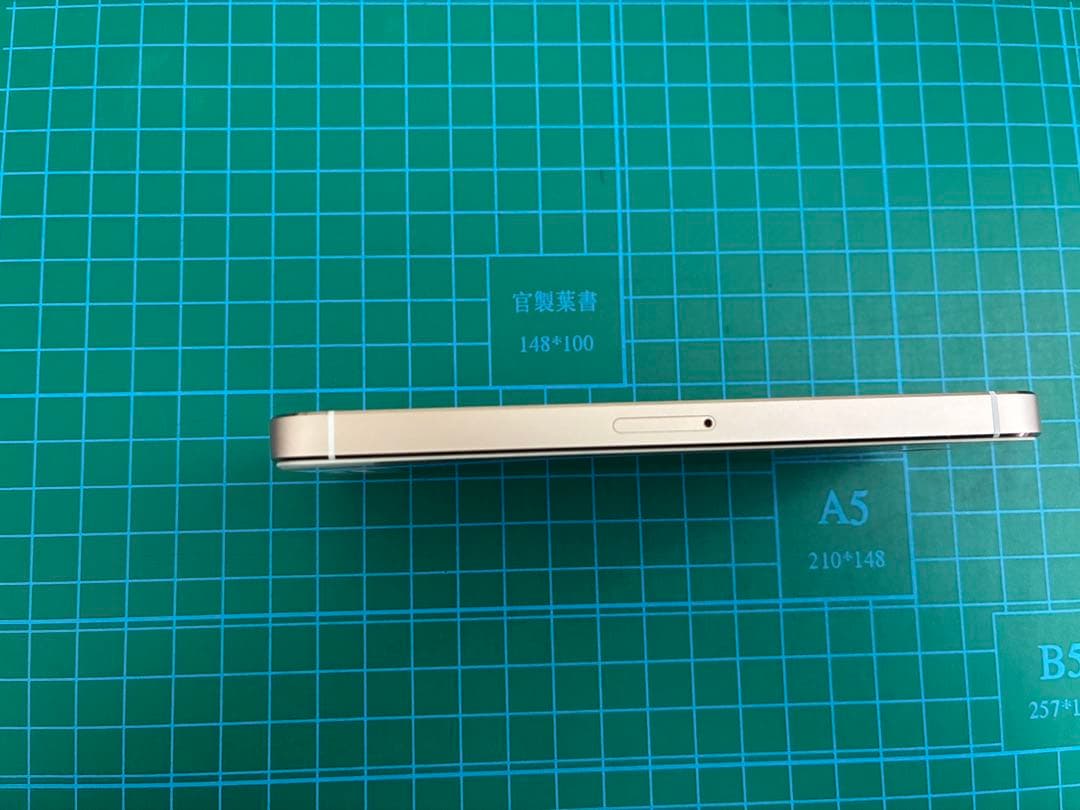 Apple iPhone 5s 本体