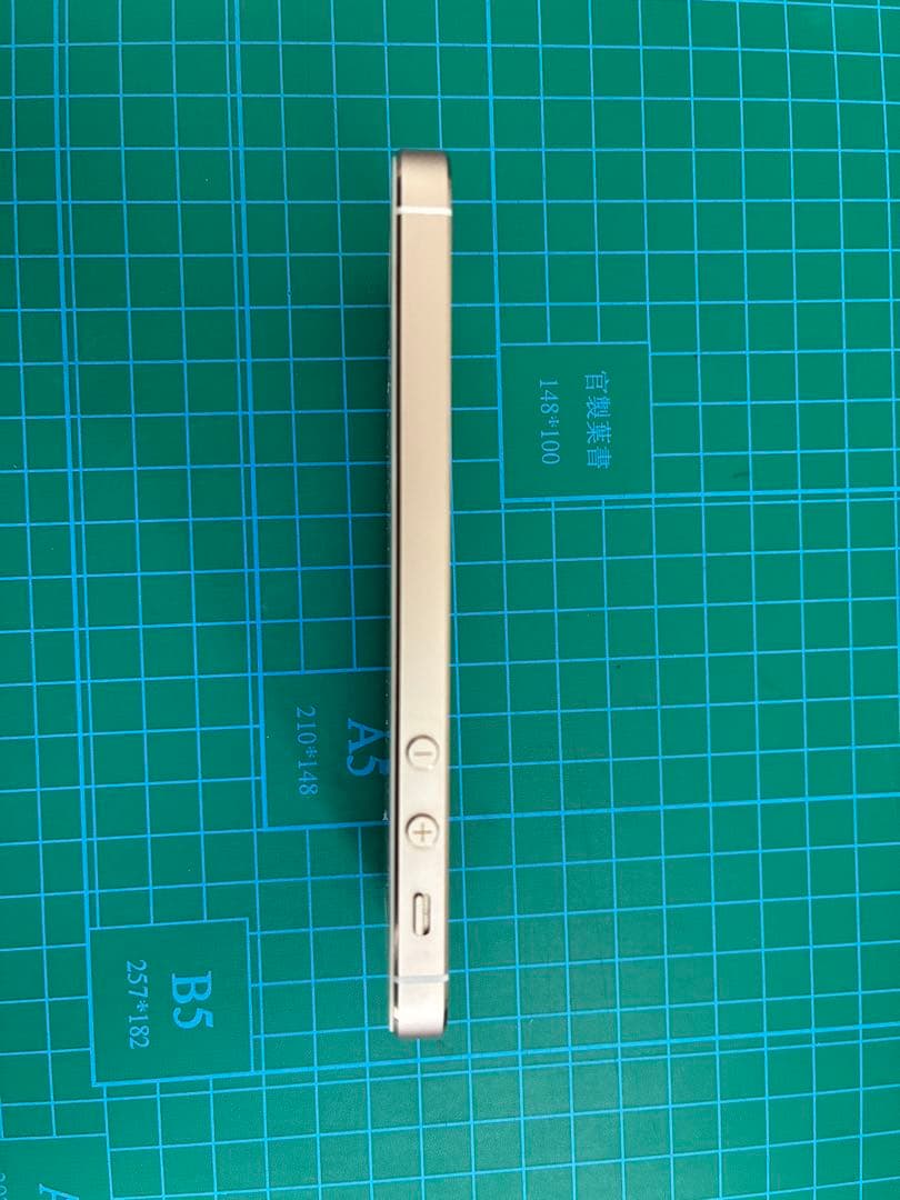 Apple iPhone 5s 本体