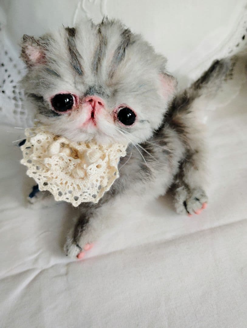 生後１２日♡くりくりオメメの子猫ちゃん♡アートドール♡ぬいぐるみ♡