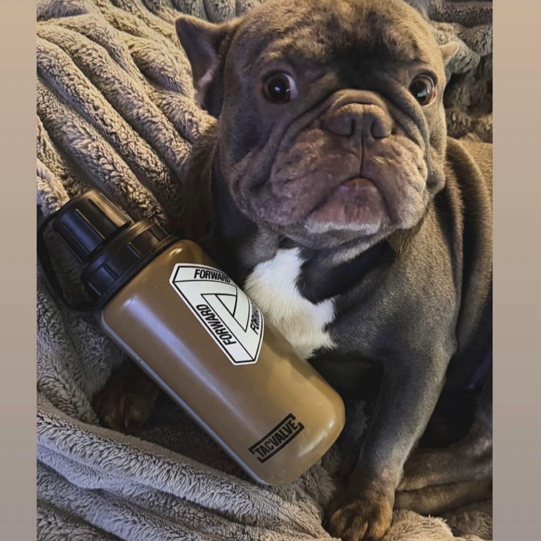 【実物】MODCAN QUICKSHOT 1QT