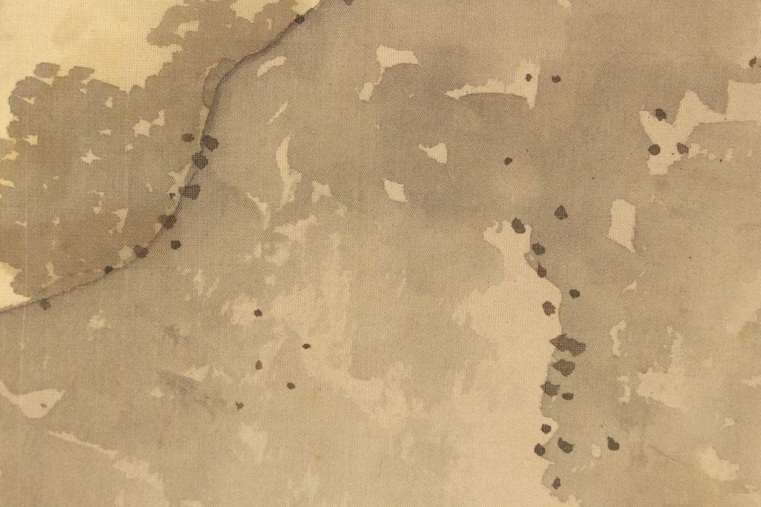 No5403 掛軸　成宮東湖　「新春梅屋」　山水図　絹本着色　共箱　送料無料