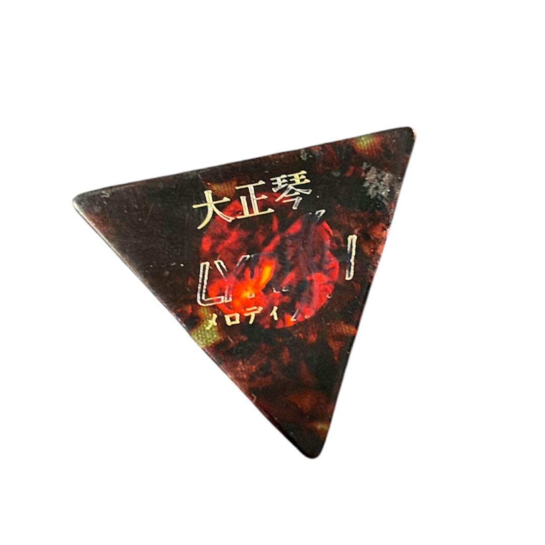 LYRISH ライリッシュ SPICA スピカ ソプラノ 電気大正琴 ケース付