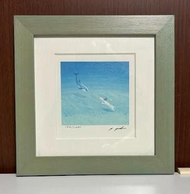 葉祥明 ジェイクとドルフィン 164/S600 直筆サイン 版画 額装