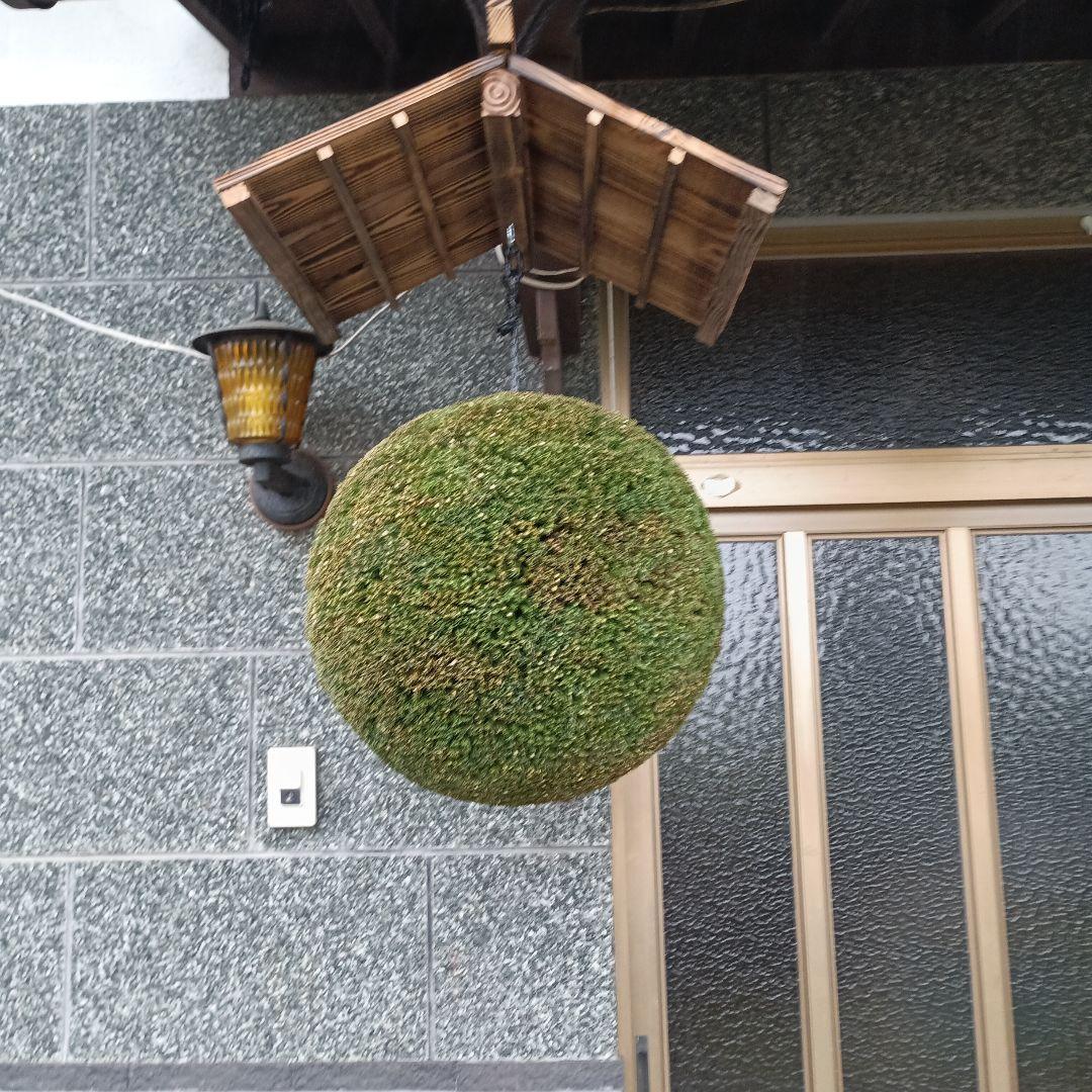 杉玉　直径36ｃｍ　屋根付き