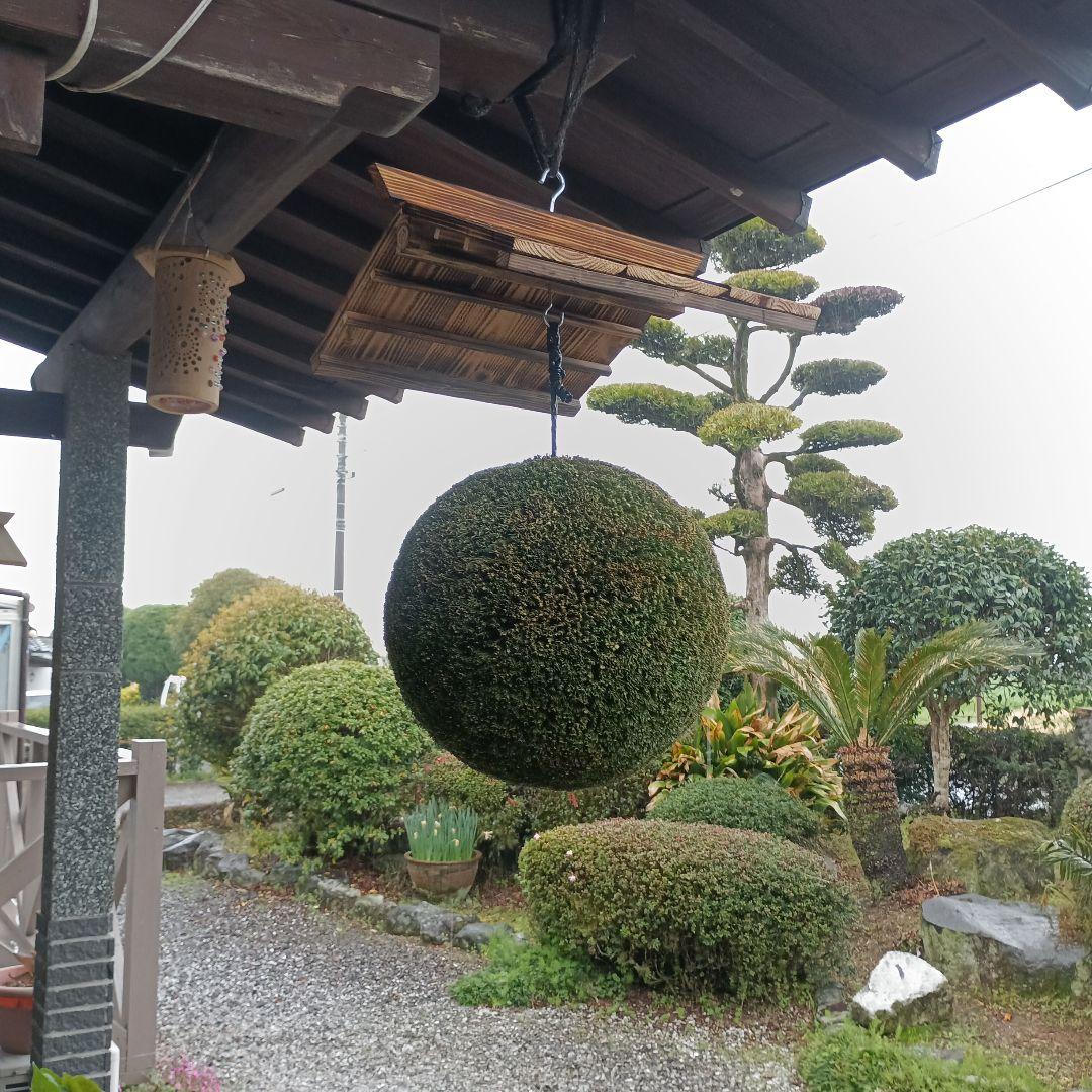 杉玉　直径36ｃｍ　屋根付き