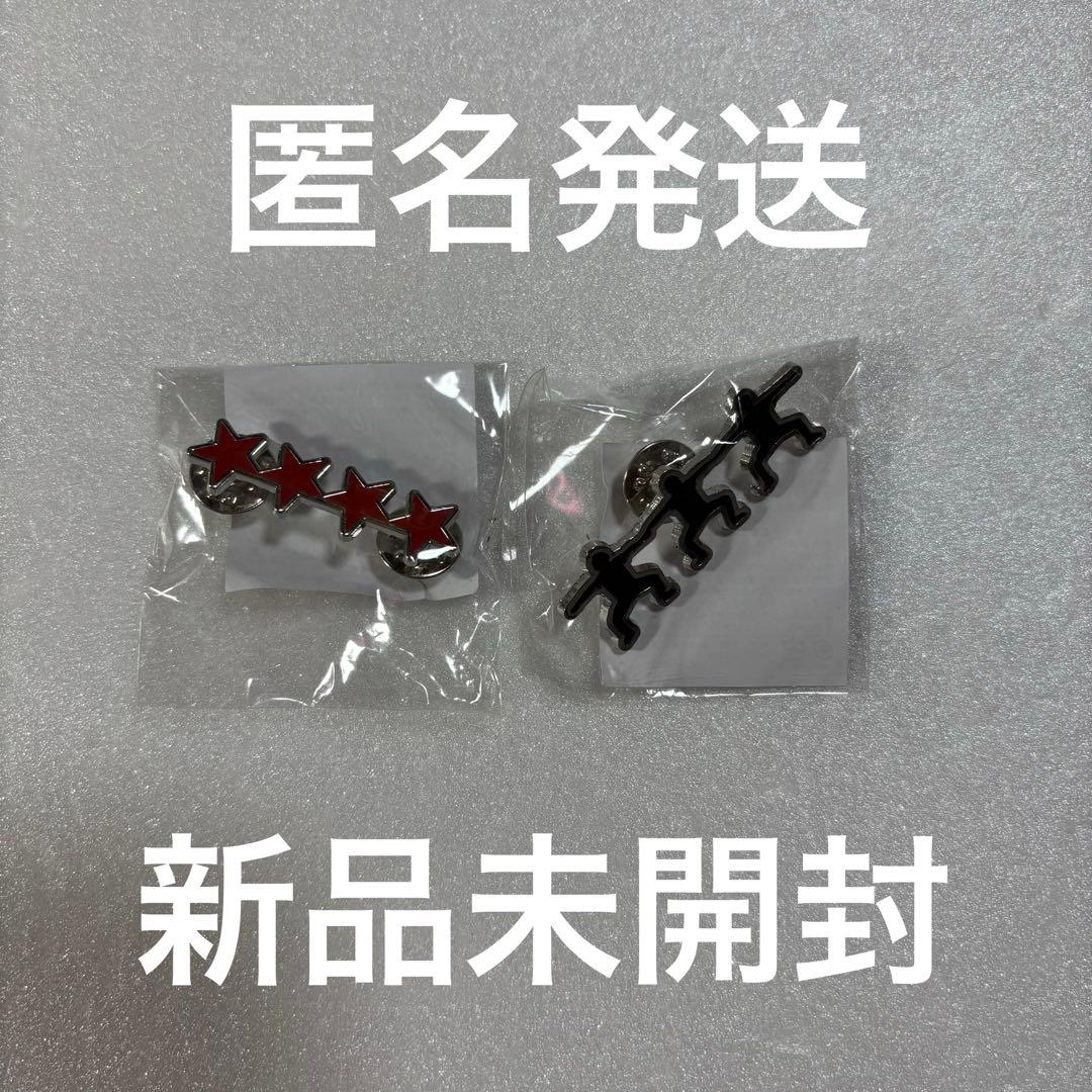 BUMP OF CHICKEN ピンバッジ シークレット 四つ星 新品未開封