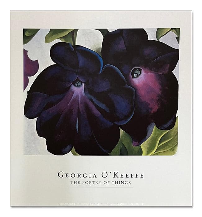 Black and Purple Petunias/オキーフ/ポスター