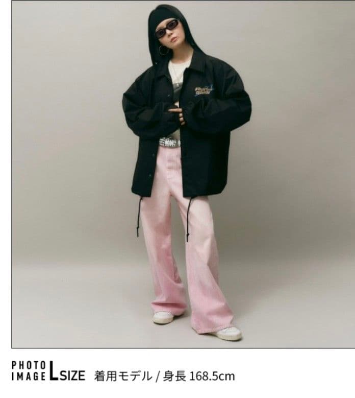 BTS✶JIN✶RUNSEOKJIN Coach Jacket Lサイズ
