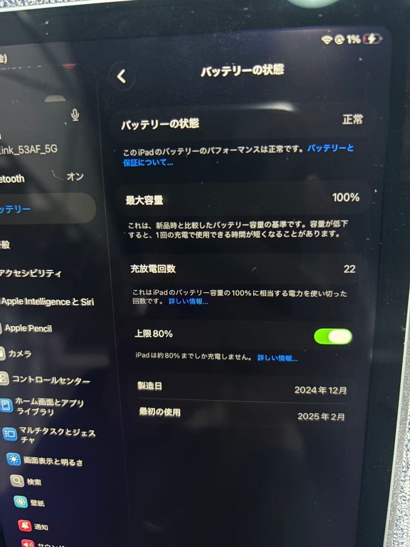 Apple iPad mini A17Pro ブルー　充放電22回