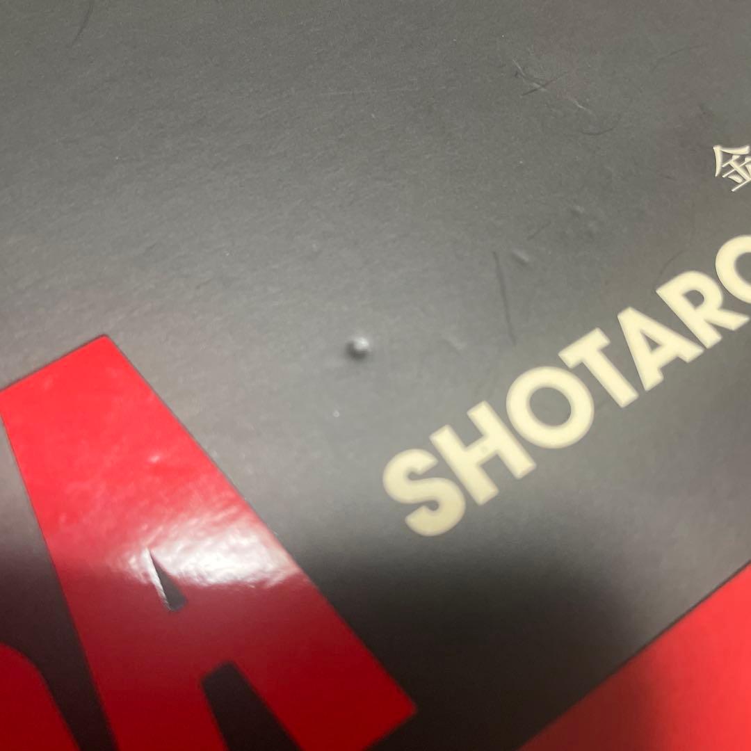 AKIRAメディコムトイ 金田正太郎 1/6スケールフィギュア 未開封