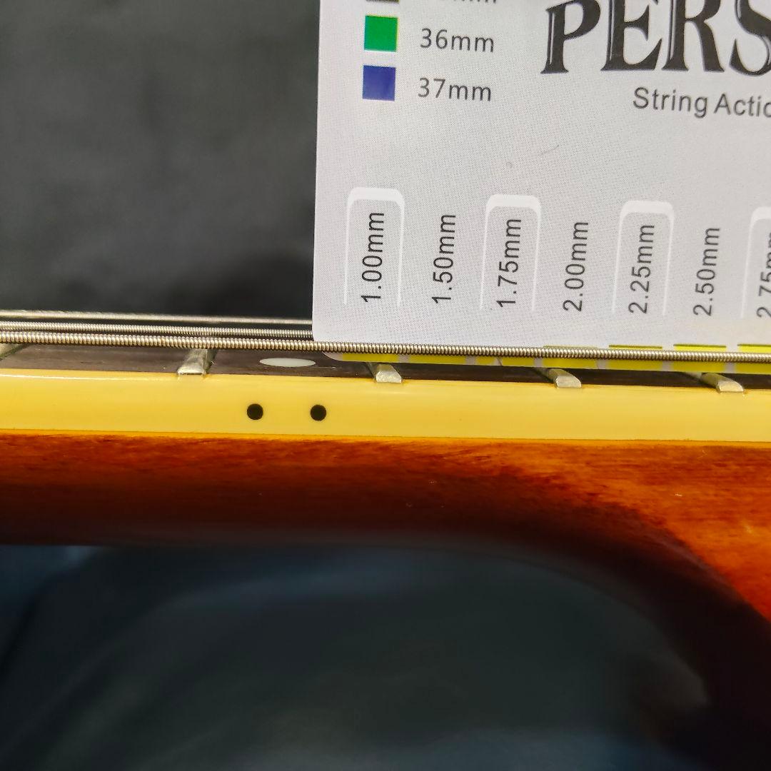 Epiphone WILDKAT STUDIO PRSロックペグ換装 セミアコ