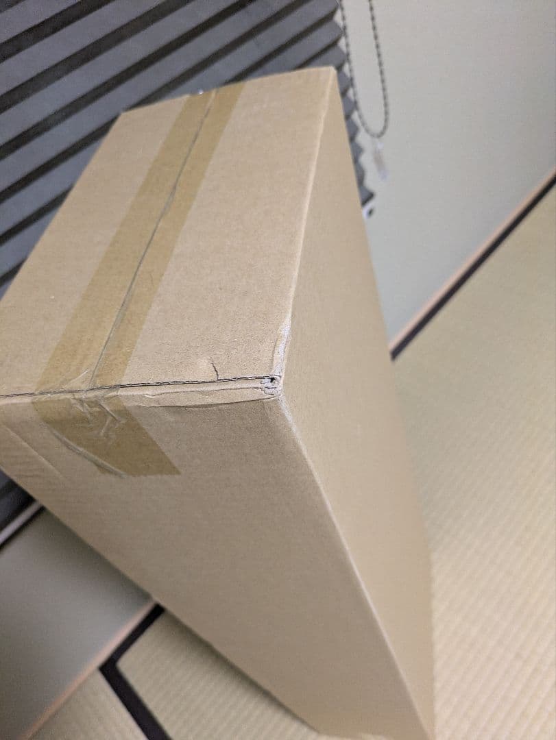 ダイソン Dyson V10 Fluffy SV12 FFLF 新品未開封