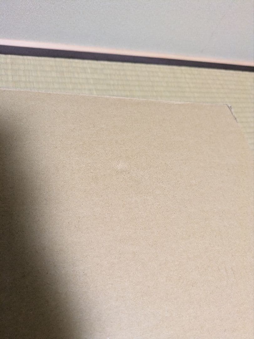 ダイソン Dyson V10 Fluffy SV12 FFLF 新品未開封