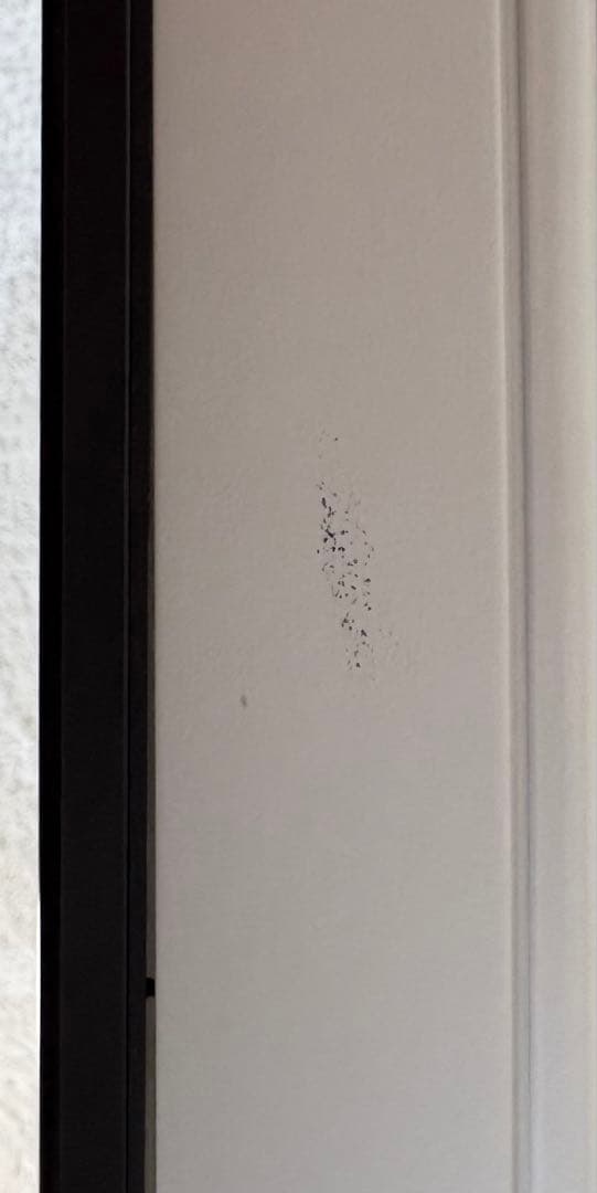 NEC Mate 一体型PC Core i5 6GB SSD Windows11