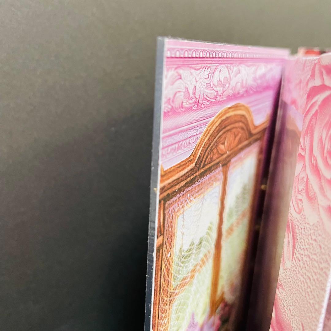 poyo ☆彡おすそ分けファイル　バインダーファイル　蛇腹ファイル　2点セット♡