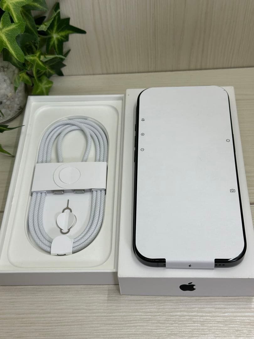✅✨超美品✨iPhone16 pro 256GB 国内版❣️95%