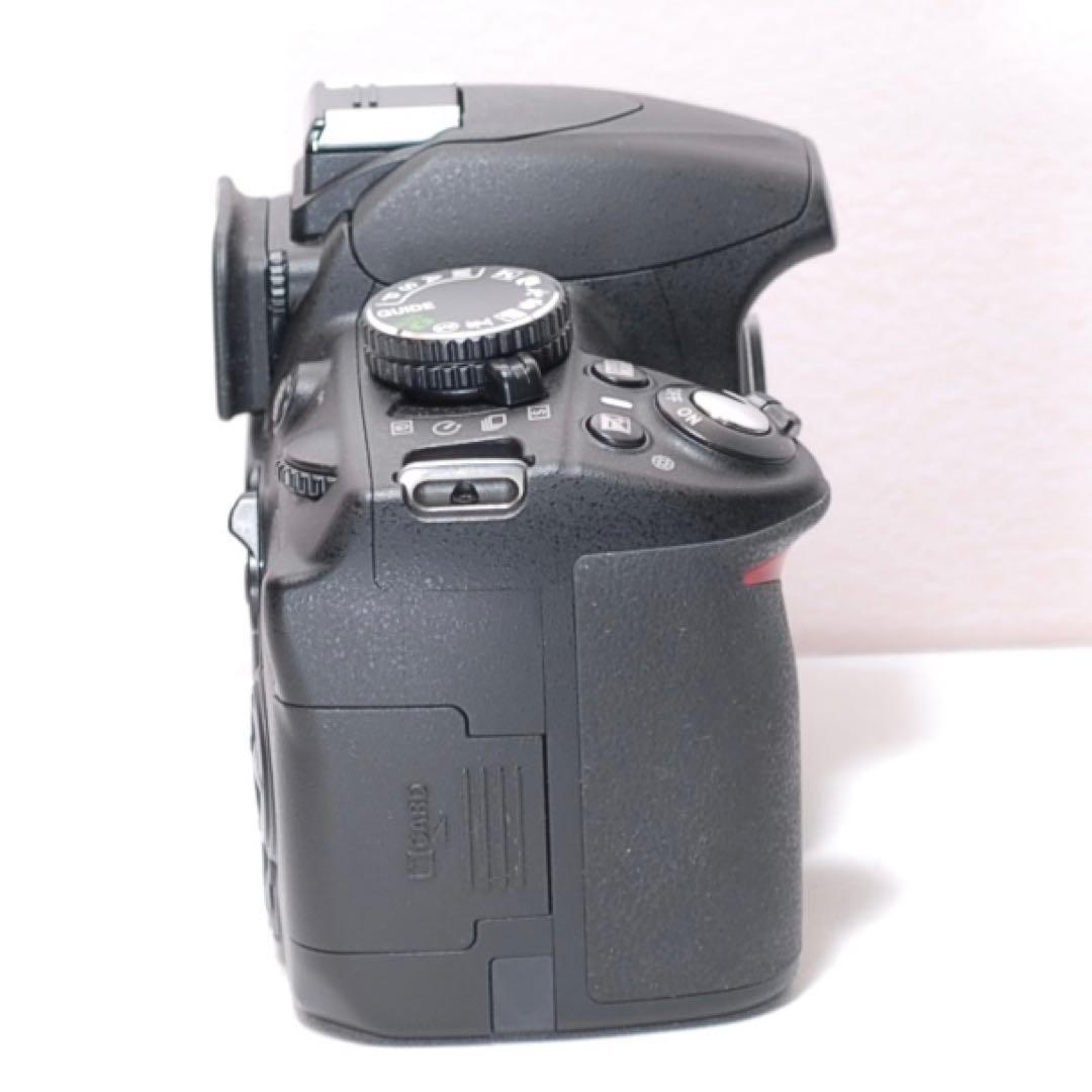 ✨美品✨Nikon D3100✨ダブルレンズ✨少シャッター✨桜や野鳥撮影も✨