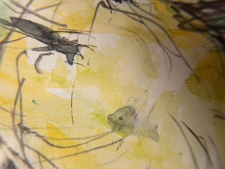 果物 絵画【美作品】