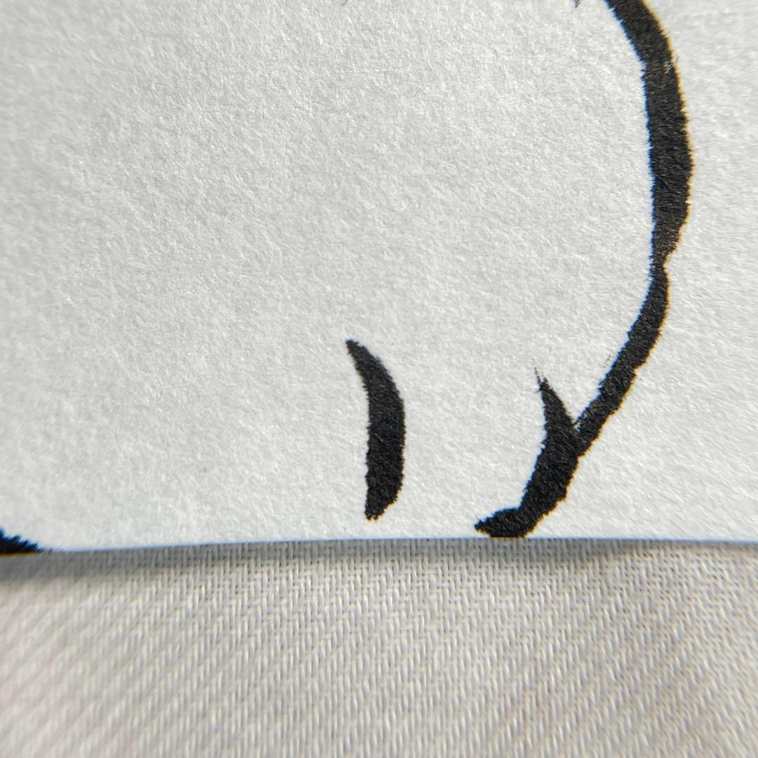 三毛エキゾチックショートヘア 水墨×水彩のプレミアム原画（2025・直筆サイン）