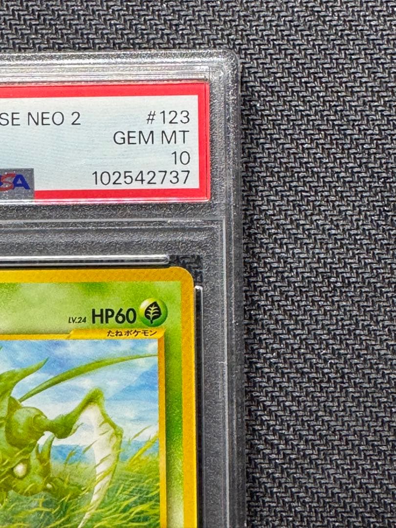 ストライク PSA10 旧裏 NEO2