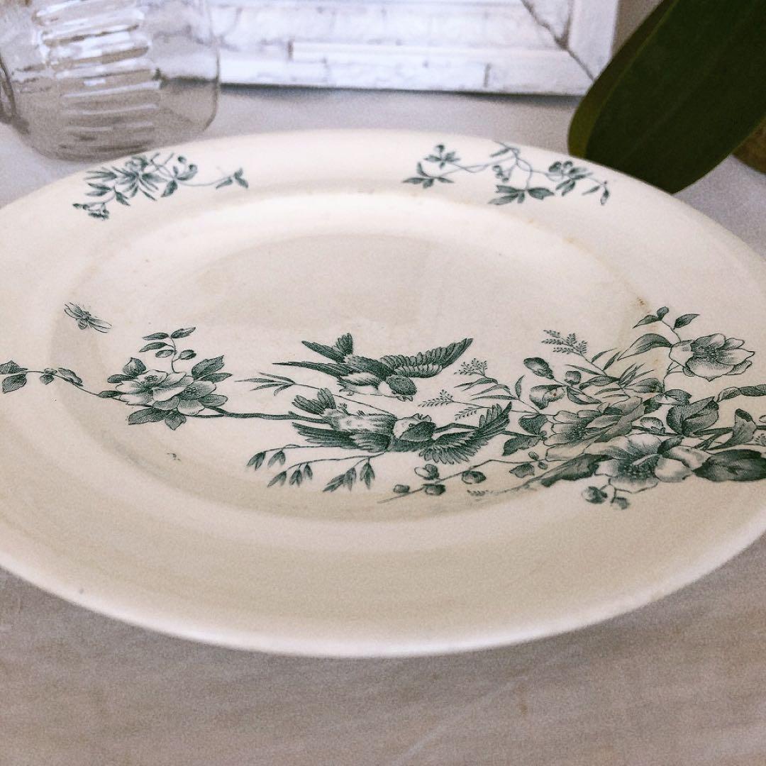 ロンウィーLongwy ミニョン ディナープレート H フランスアンティーク食器