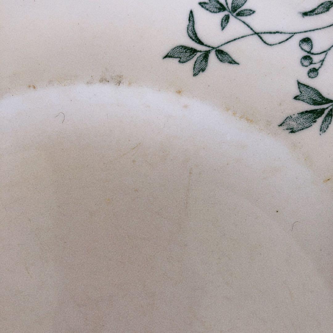 ロンウィーLongwy ミニョン ディナープレート H フランスアンティーク食器