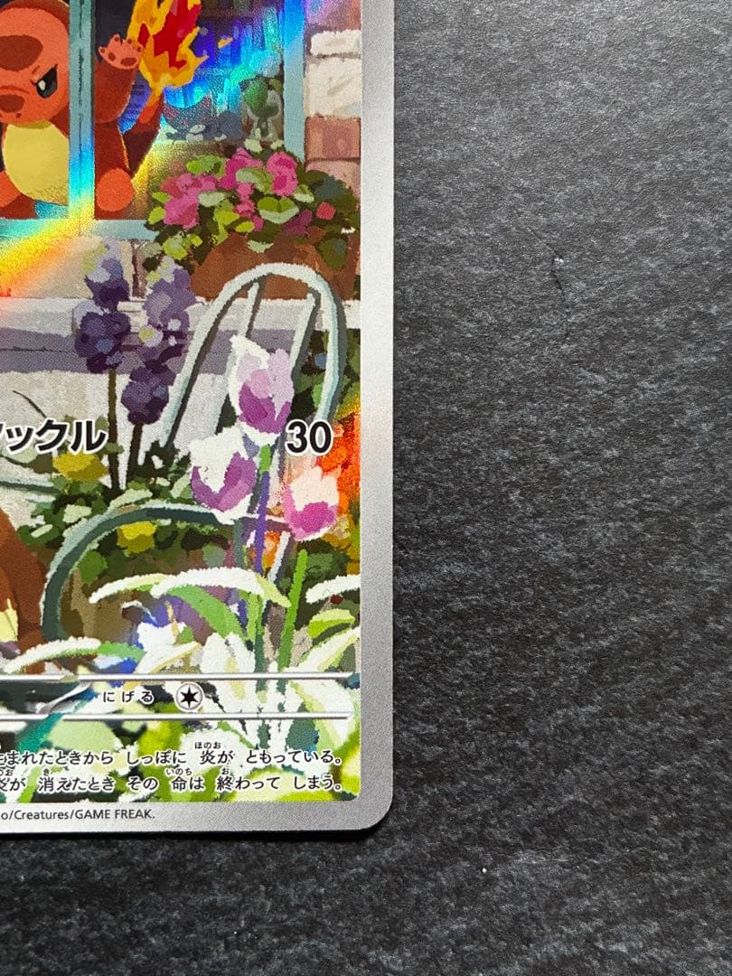 スペシャルデッキセットex 御三家 AR フシギダネ ゼニガメ ヒトカゲ 6枚