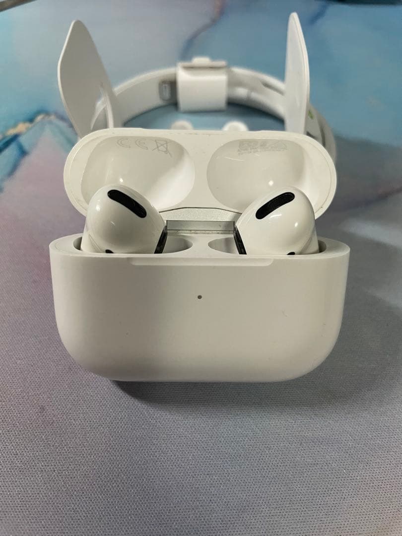 Apple AirPods Pro 第1世代 ケース 両耳