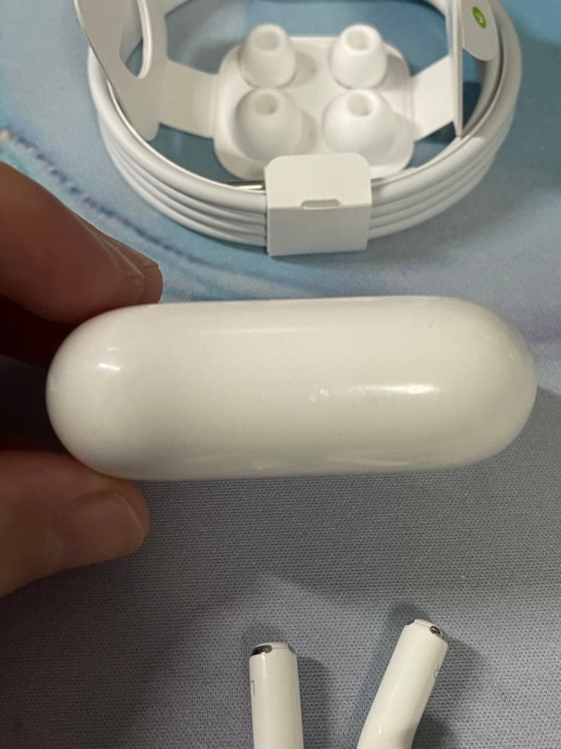 Apple AirPods Pro 第1世代 ケース 両耳