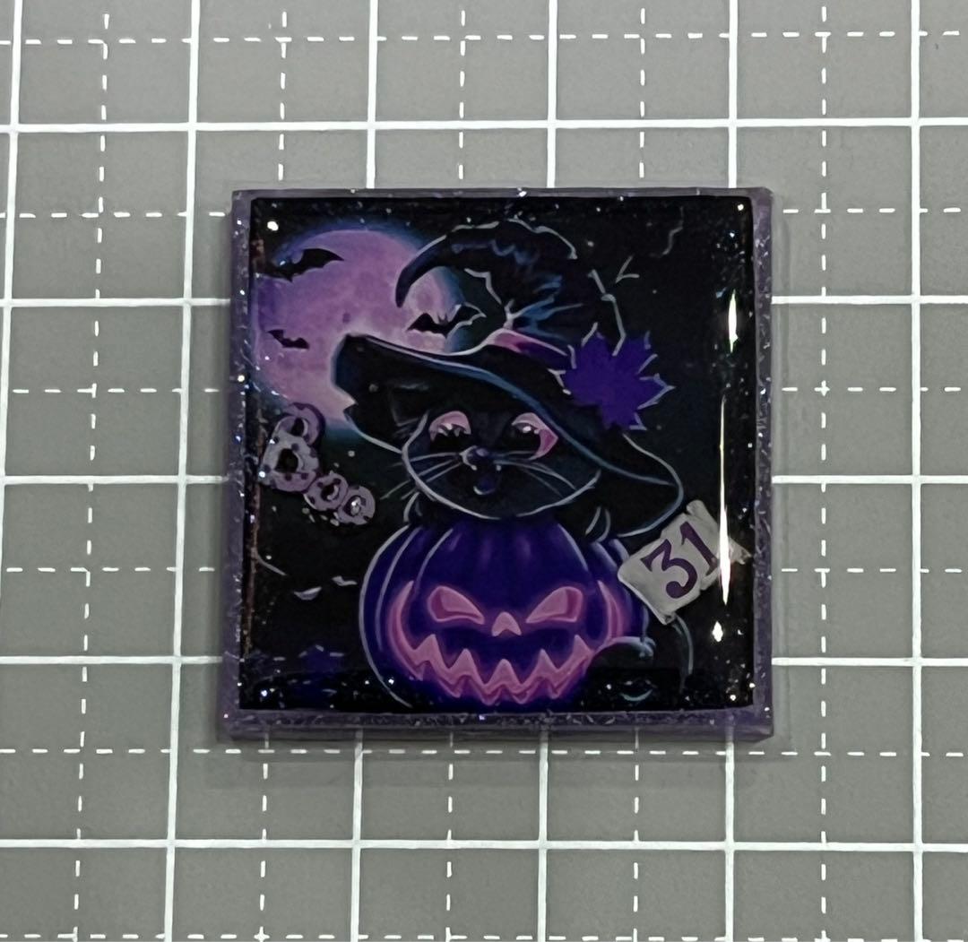 感謝価格(ㅅ´꒳` )ハロウィン黒猫ちゃん