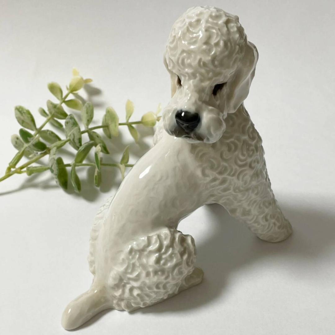 ローゼンタール ROSENTHAL プードル 犬 フィギュリン F