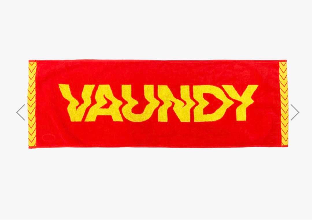 Vaundy バウンディ タオル 大阪限定　ラバーバンド　セット　ドーム公演