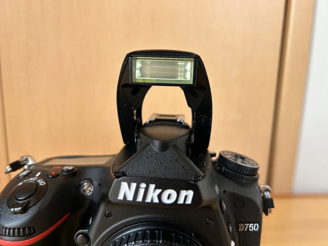 美品 Nikon D750 ショット数8296回 付属品多数