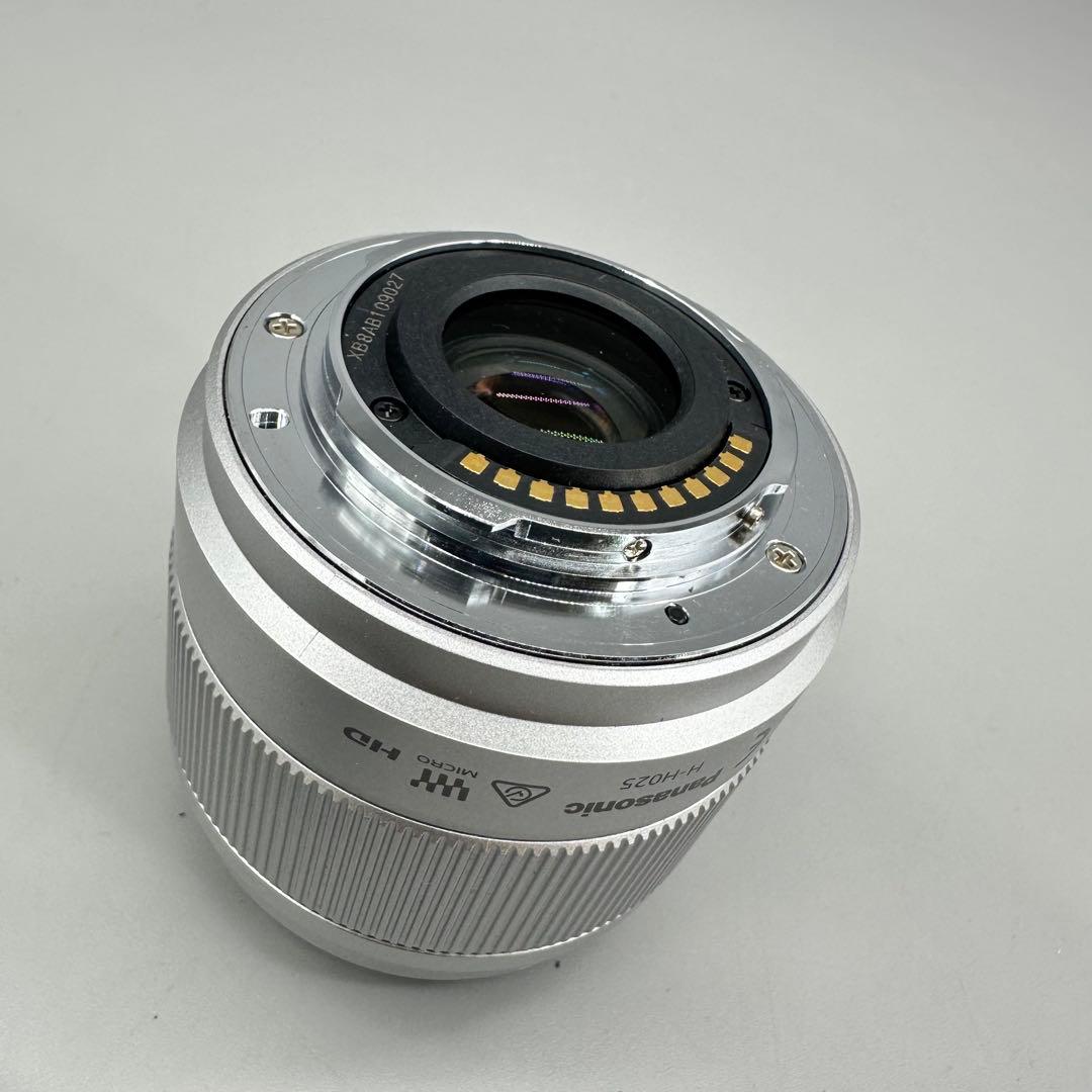 Panasonic DC-GF10WA パナソニックミラーレス　ダブルズーム