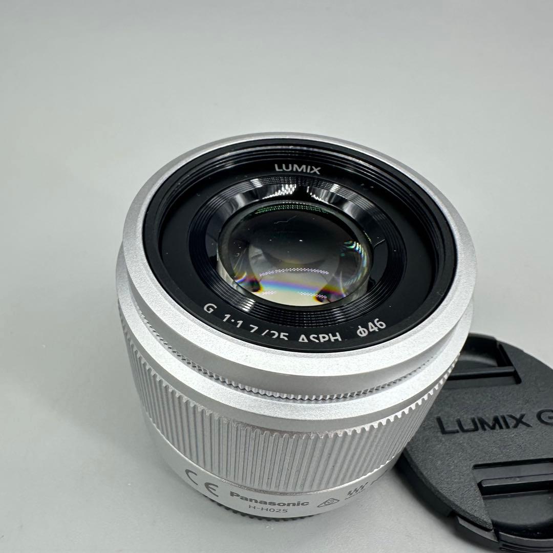 Panasonic DC-GF10WA パナソニックミラーレス　ダブルズーム