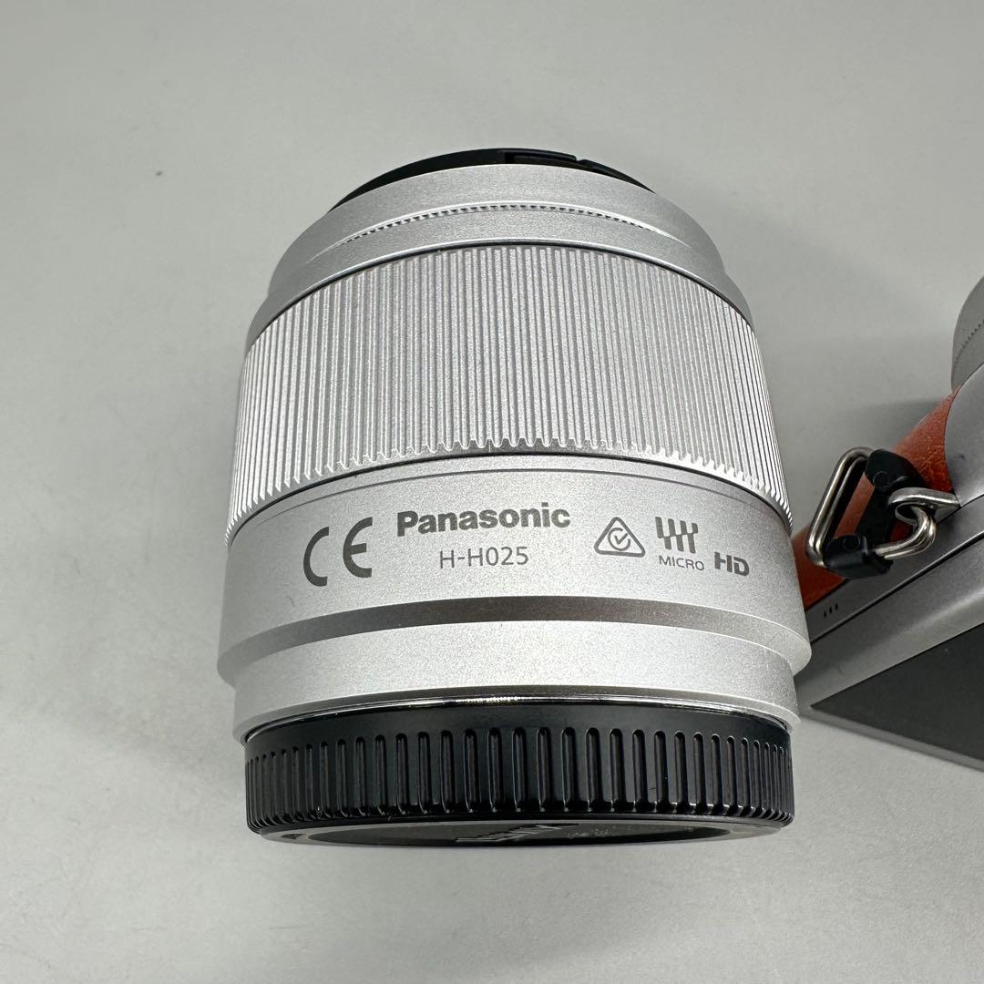 Panasonic DC-GF10WA パナソニックミラーレス　ダブルズーム