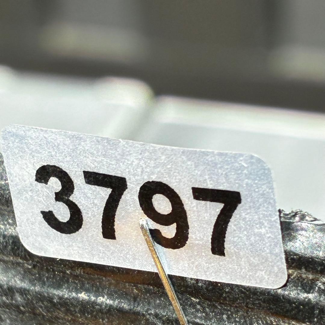 3797⭐️ヒデコート交配⭐️ミスト⭐️糸ピコ⭐️大木ナーセリー⭐️