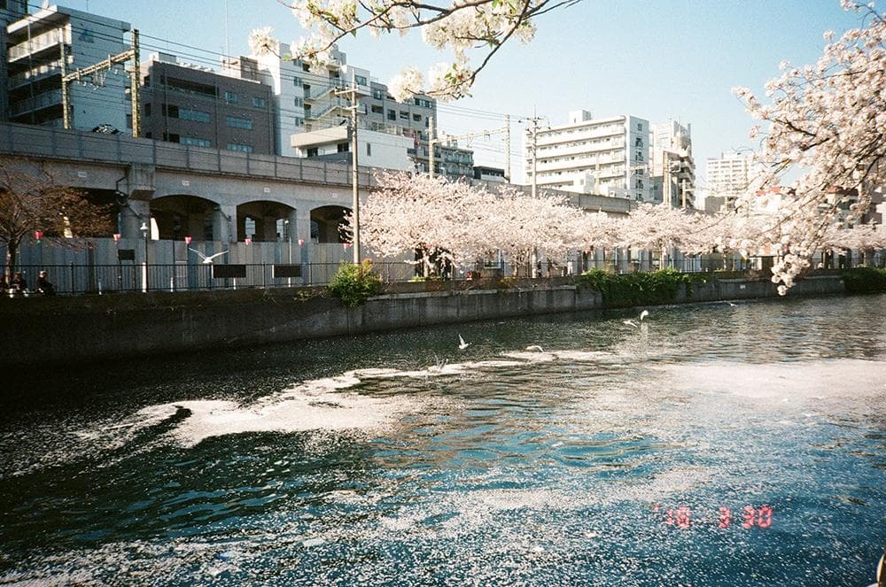 【未使用品/完動品】Kyocera P.Mini AF ★送料込み★